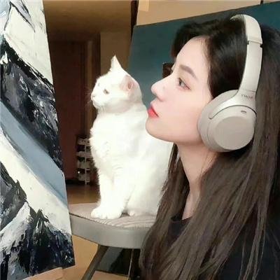 老公去哪了